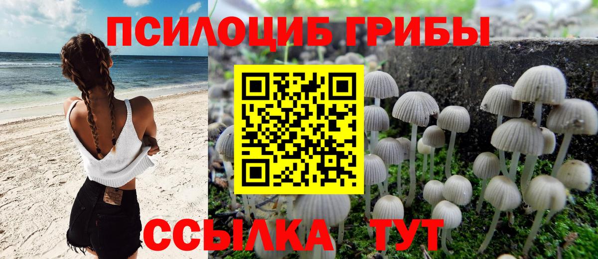 Галлюциногенные грибы мухоморы Сегежа