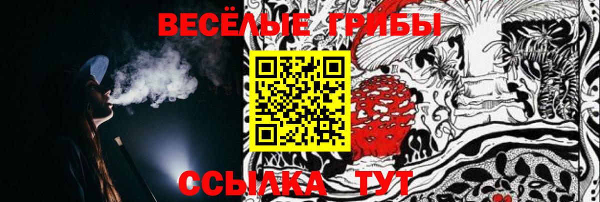 Сегежа  Псилоцибиновые грибы прущие грибы  Вход с VPN 